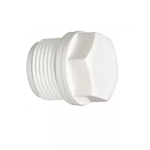 PVC Plug One Inch